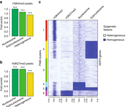 Fig. 4 Homogeneous bivalent marking of histone H3 on sperm developmental genes. a Fold enrichment (observed/random) over 1000 randomisations of peaks with homogeneous H3K4 methylation (HMD &gt; 80) in regions homogeneous for nucleosomes, homogeneous for su