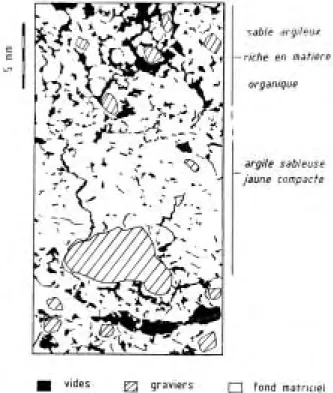 Fig. 6 : Evolution de la porosité de part et d'autre d'un sol de terre battue.