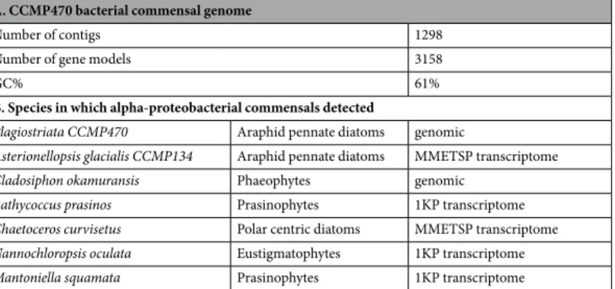 Table 1.  Characterization of the CCMP470 symbiont. A. Summary of the bacterial commensal sequence that  is part of the CCMP470 genome