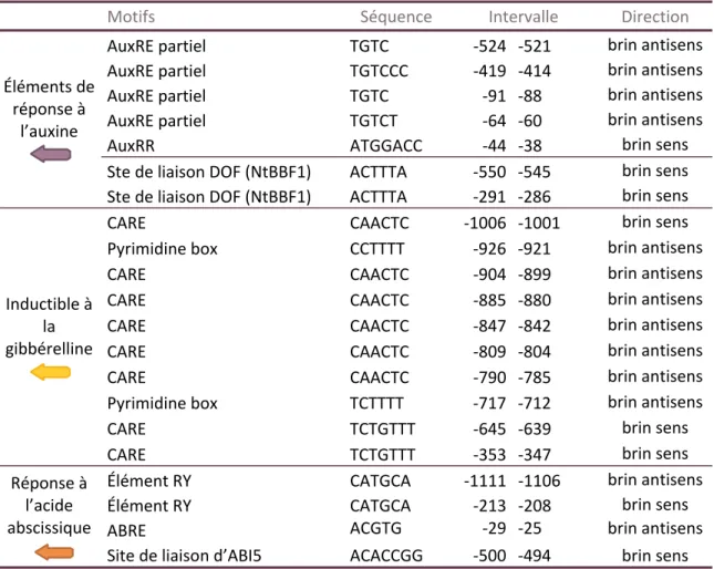 Tableau II Motifs reliés à la réponse à diverses hormones présents dans le promoteur connu  de ScRALF3