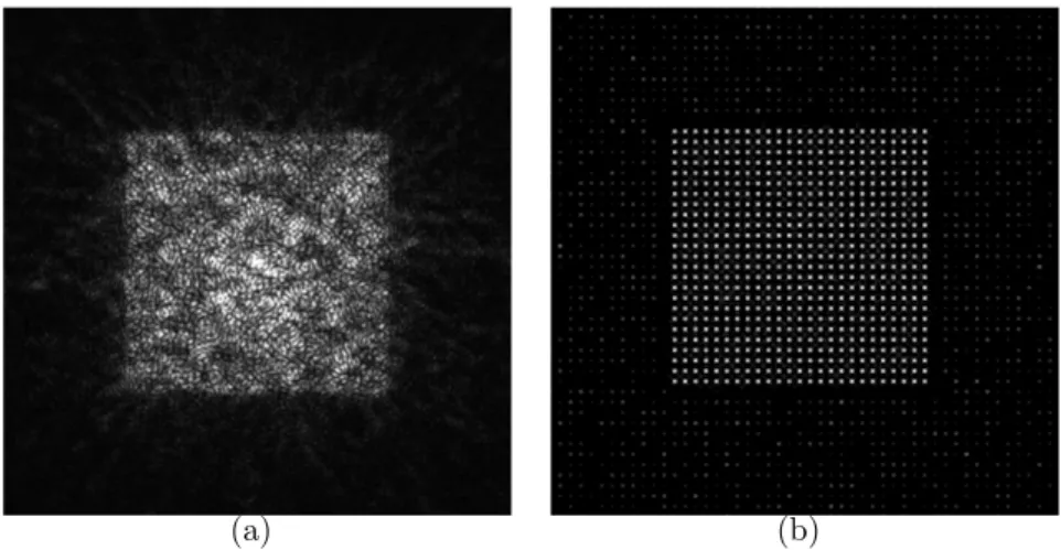 Figure 1.12 — Diffraction pattern of a spot array DOE: (a) with and (b) without speckle effect.