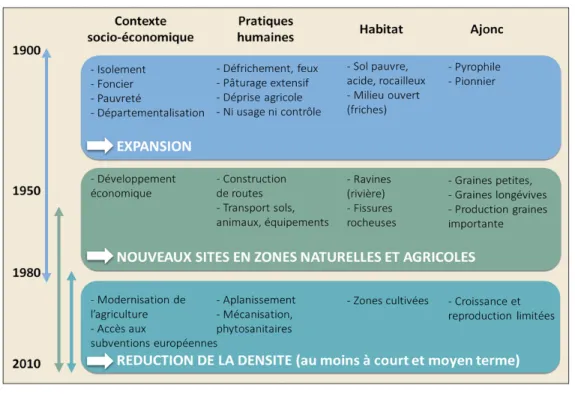 Figure 4 : Facteurs explicatifs des phases d’expansion, de dispersion et de régression de l’ajonc d’Europe à La Plaine des Cafres entre 1900 et 2010