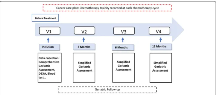 Fig. 1 Assessment and follow up study scheme