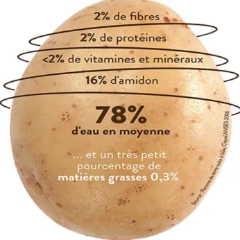 Figure 07 : Composition chimique du tubercule de pomme de terre 