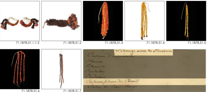 Figure  6  –  Parure  de plumes munduruku  échangée  entre  le Muséum d’histoire  naturelle et le  musée  d’Archéologie nationale en 1881 (71.1878.51)