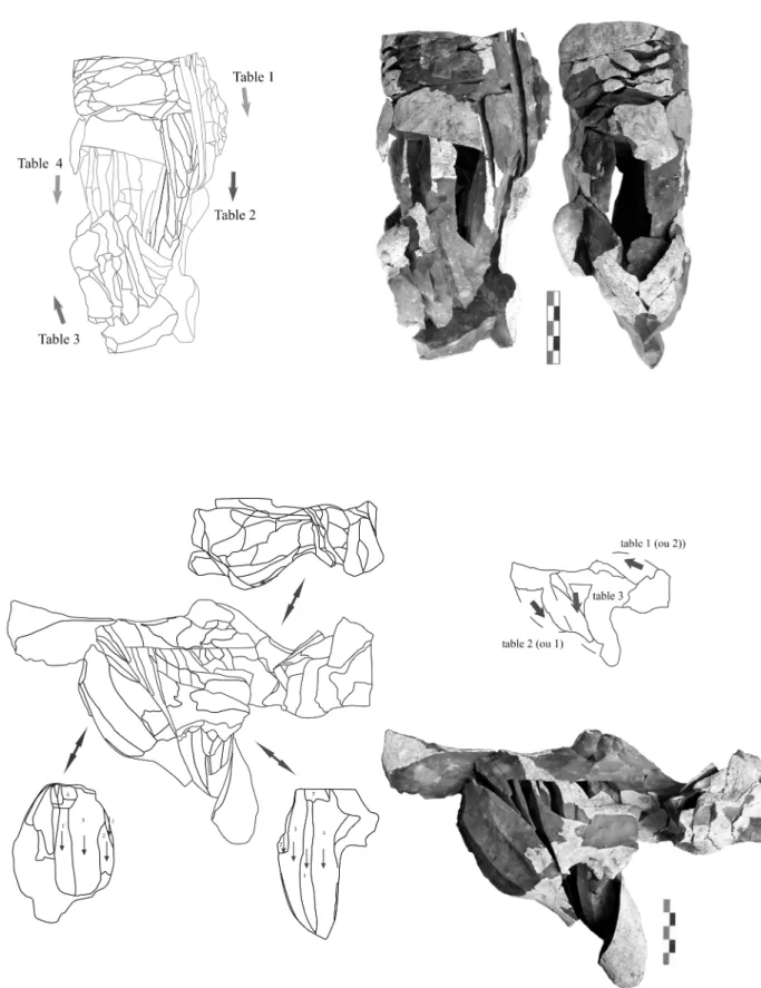 Fig. 2 – Remontages de l’amas de la st. 130 de Verlaine (Allard, 2007).