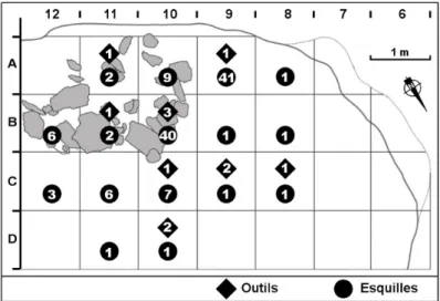 fig. 12  Niveau 10, répartition par carré des outils et esquilles en cinérite.