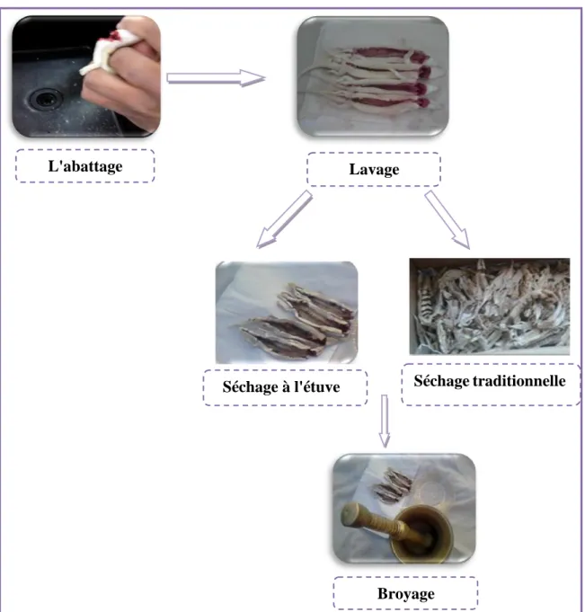 Figure 05 : Les étapes de préparation des échantillons (Photo orignal)  I.1.1.4 Réactifs et produits utilisés 
