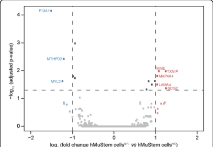 Fig. 3 Phenotypic profile of hMuStem cells HS and hMuStem cells hPL . Flow cytometry comparison of (a) mesenchymal (CD29, CD44, CD73, CD90 and CD105) and (b) hematopoietic (CD34, CD45) and endothelial (CD144) cell lineage markers in hMuStem cells HS and hM