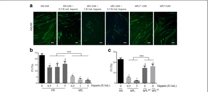 Fig. 9 Influence of heparin and heparin-free hPL-supplemented media on myogenic potential of hMuStem cells