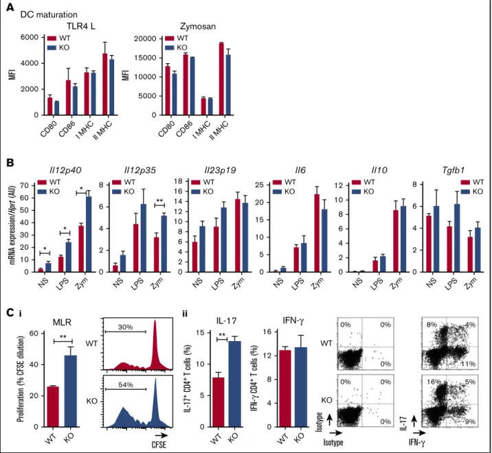 Figure 4. Rat CLEC-1 – deficient BMDCs enhance Th17-cell activation. (A) BMDCs from WT and CLEC-1–deficient rats were stimulated with TLR 4-L or zymosan for 24 hours, and CD80, CD86, and Class I and II major histocompatibility complex (MHC) were assessed b