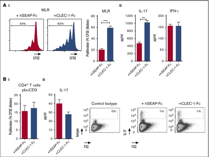 Figure 5. Blocking CLEC-1 Fc fusion protein enhances rat BMDC-mediated Th17-cell activation