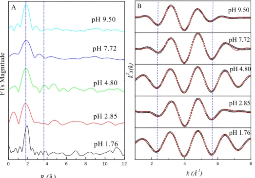 FIGURE 2. The corresponding Fourier Transforms (A) and the first-shell fit of the  EXAFS function  of  k 2 -weighted (B) of the binary Eu/HA system at different pH  values