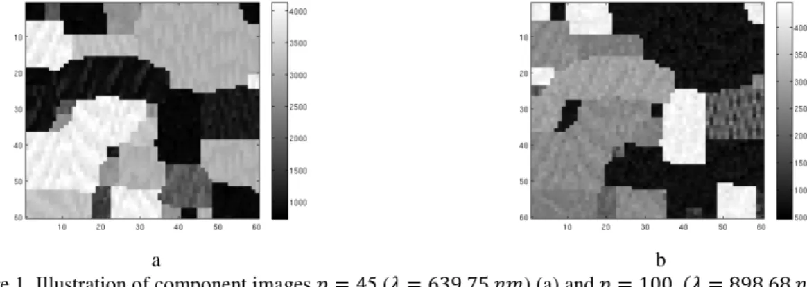 Figure 1. Illustration of component images  m = 4 5 ( = 639.75  r ) (a) and  m = 100   = 898.68  r  (b) The main statistics of the chosen hyperspectral image are shown along the spectral dimension in Figures 2a and  2b (only spectral channel indexes are sp