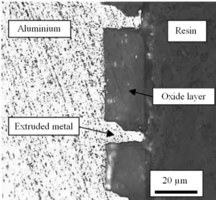 Figure 1.13 – Micrographie présentant les micro-fissures apparaissant sur la surface des bandes laminées à froid (ici pour une réduction de 30%) [30].