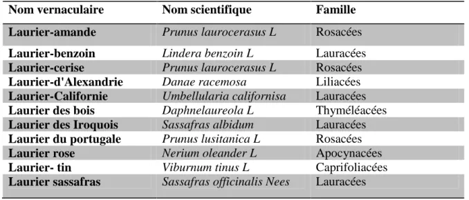 Tableau 3: Autres espèces du laurier noble ( Laurus nobilis ) (ANTON, 2005).