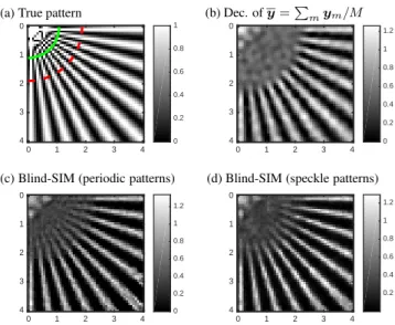 Fig. 1. Right lower quadrant of the (100 × 100 pixels) true fluorescence pattern (a), positive deconvolution of the  aver-aged speckle patterns (b), and penalized joint blind-SIM  re-constructions with M = 9 periodic (c) and M = 200 speckle patterns (d)