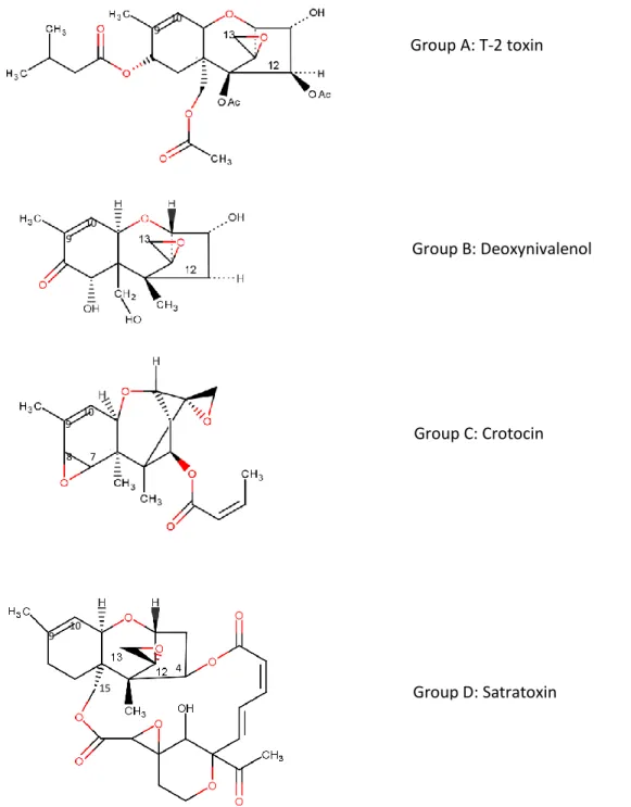 Figure 1: Chemical structures of trichothecenes (Examples of groups A-D) adapted from Wu  et al