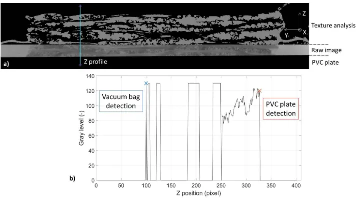 Fig. 3. a) A post-treated slice (YZ plane) extracted at X = 72 mm near the vacuum vent, at 60 mbar, with the representation of a Z profile