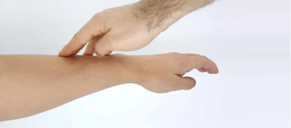 Figure 2 . 1 : A touch contact performed between two individuals. The skin serve as a social organ to detect affection through touch.