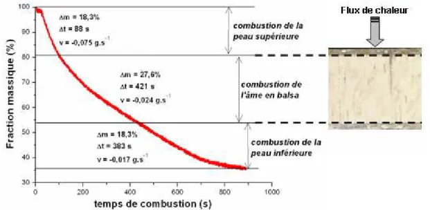 Fig. 2. Cinétique de combustion du matériau composite sandwich, mesurée au cône calorimètre