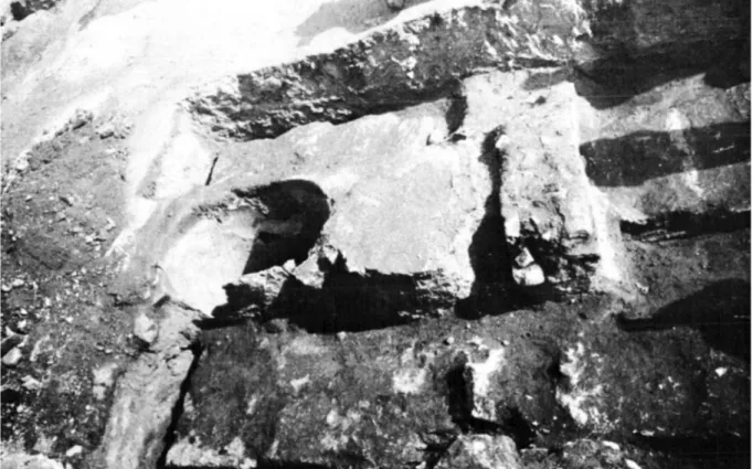 Fig. 3 : Hippone. Cuve ovale localisée dans la nef latérale occidentale, entre deux tombes postérieures   (d’après M arec  1958, p. 70, fig