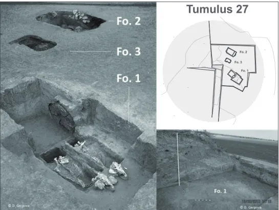 Fig. 3 char laténien découvert sous le tumulus 27 de la nécropole est.