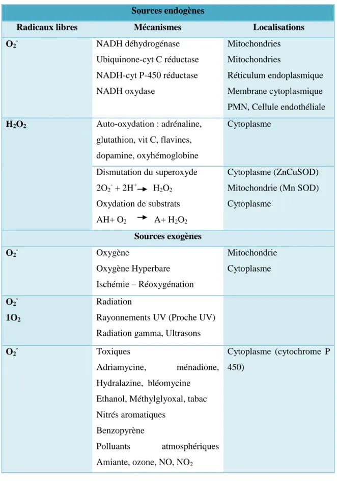 Tableau 02: Production intra et extracellulaire d’espèces réactives de l’oxygène dans les cellules  humaines (Thiebauld  et al., 1998)