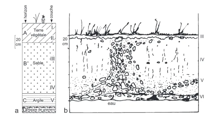 Fig. 3. Cepoy, La pierre aux Fées. a. Coupe schématique du site. b. Vue en coupe d’un „étalement en champignon” 