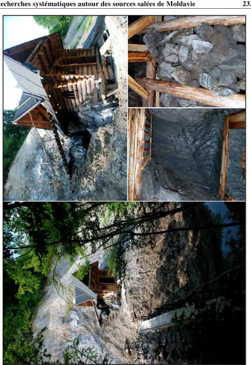 Fig. 10. Affleurement de sel gemme et chambre d’inhalation  à „Hume”, Podu Nărujei, Năruja (photo: O