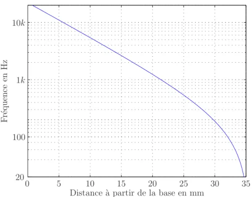 Fig. 1.11: Correspondance tonotopique entre la position sur la cochlée et la fréquence caractéristique