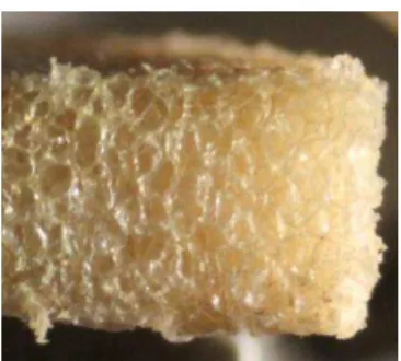 Fig.  1.  Cross sectional photograph of a 5mm thick H200 Divinycell Foam. 