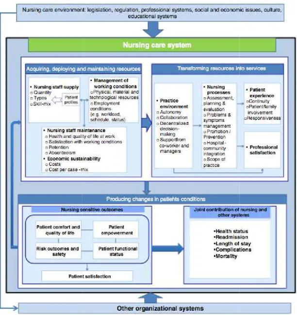 Figure 3. Nursing Care Performance Framework Nursing Care Performance Framework de Dubois et al