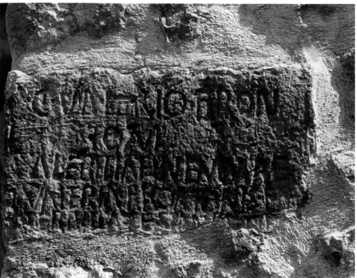Fig.  7  —  Carros. 