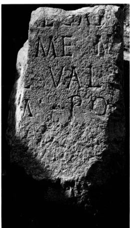 Fig.  6 — Vence.  Cippus  ou  autel  fragmentaire  (n° 6). 