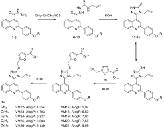 Figure 1. Synthetic route and structures of furfuryl derivatives of 4-allyl-5-[2-(4-alkoxyphenyl)- 4-allyl-5-[2-(4-alkoxyphenyl)-quinolin-4-yl]-4H-1,2,4-triazole-3-thiol