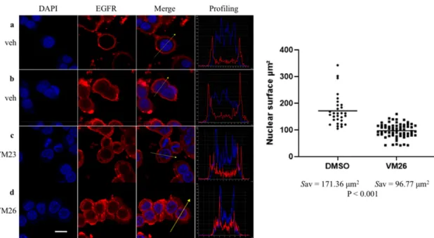 Figure 4. EGFR rapidly responds to the chemical invasion of small compounds in cancer cells.