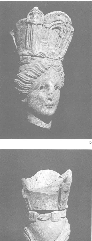 Fig.  1  —  Tète couronnée, 