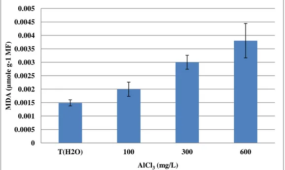 Figure 07 : Pourcentage de phytotoxicité de chlorure d’aluminium (AlCl  3 ) sur la  longueur et le poids sec des axes embryonnaires de haricot (Phaseolus vulgaris L