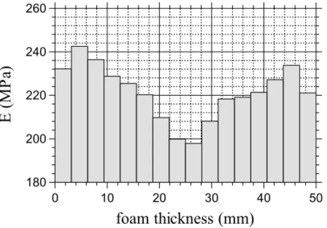 Figure 7: Young modulus profile supposed true for the validation test of the inverse method 