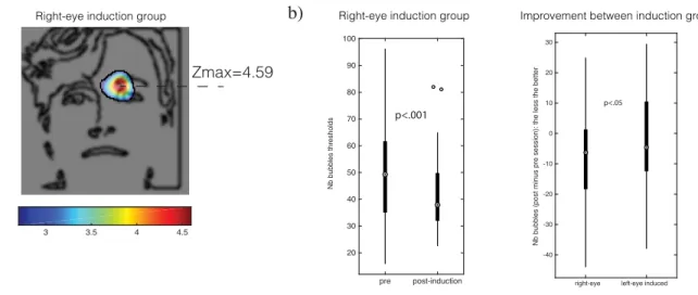 Figure 5. Impact of the implicit induction procedure on a) the use of facial information and b)  individual face-sex discrimination performance