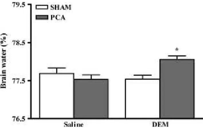 Figure 2. Frontal cortex water content in rats with portacaval anastomosis (PCA) and sham-operated  controls treated and not treated with dimethyl maleate (DEM) at a dose of 1 mg/kg/day for 10 days