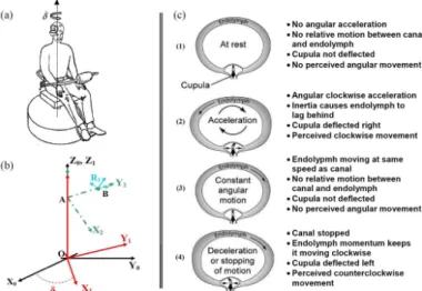 Figure  2:  (a)  Visualization  of  the  diagnosis  procedure,  (b)  Different  coordinate  systems  :  R 0 :  (O,  X 0