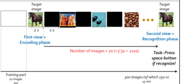 Fig. 1: Experimental protocol for memorability assessment.