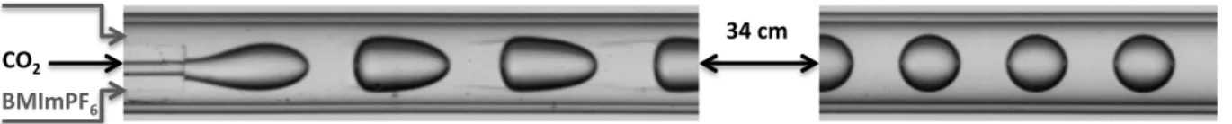 Figure 1: Co-axial injection of SC-CO 2  in [BMIm + ][PF 6 - ] continuous phase – P = 11.4 MPa (inlet); T = 318 K; 