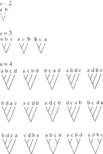 FIGURE 1.3.3. Les arbres dichotomiques de 2, 3 et. 1 espèces (n) TABLEAU 1.3.1. Énumération du nombre d’arbres en fonction du nombre de noeuds et d’espèces