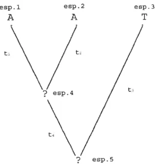 FIGuRE 2.4.2. Arbre phylogénétique avec des valeurs inférées (A et A) la première ligne de la matrice (2.4.1)) pour les espèces 4 et 5