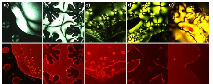 Figure  2.  Polarized  optical  micrographs  recorded  at  60°C  under  white  light  (top)  and  irradiation  at  400  nm  of  a)  Kat 2 Mo 6 Cl 14 ,  b)  Kat 2 Mo 6 Br i 8 Cl a 6 , c)  Kat 2 Mo 6 Br 14 ,  d)  Kat 2 Mo 6 Br i 8 I a 6 , e) Kat 2 Mo 6 I 14 