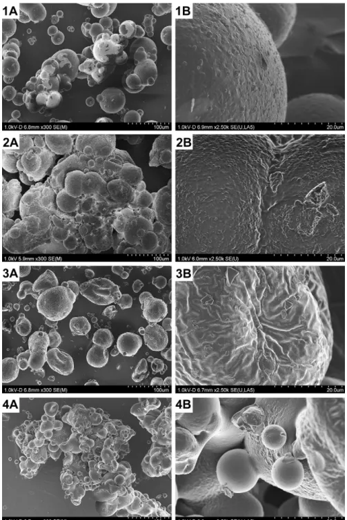 Fig. 3. Scanning Electron Microscopy of the four industrial powders (1: standard whole milk powder; 2: agglomerated whole milk powder; 3: standard skim milk powder; 4: