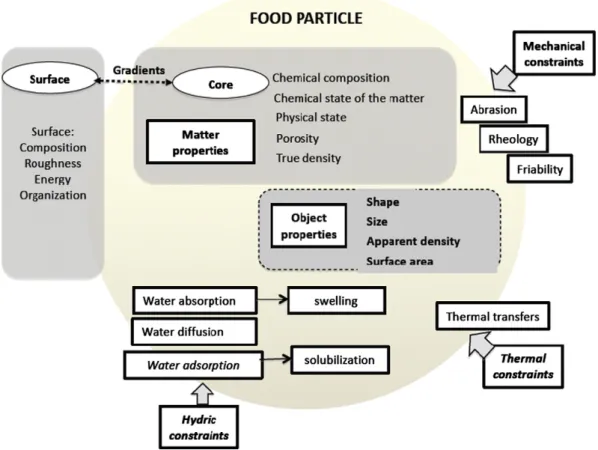 Fig. 4. Links between surface characterization, physico-chemical process and constraints (hydric, thermal and mechanical).